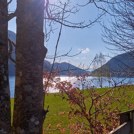 阿洛伊西亚旅馆 招待所 凯撒山麓舍福