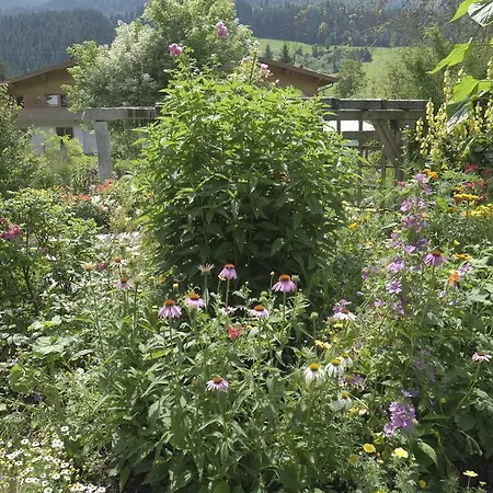 Aloisia Guest house Scheffau am Wilden Kaiser