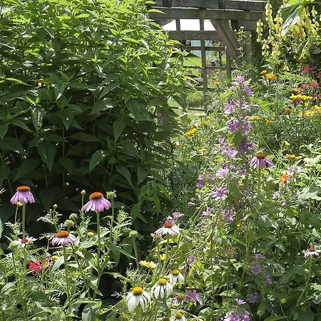 Aloisia Pensionat 3*