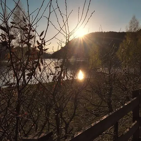Aloisia Pensionat Scheffau am Wilden Kaiser