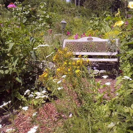 Aloisia Pensionat Scheffau am Wilden Kaiser