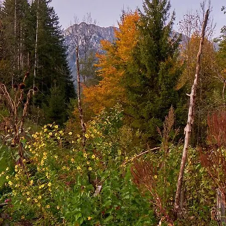 Gasthof Aloisia