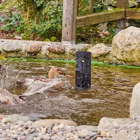 Aloisia Pensionat 3*