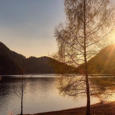 Aloisia Konukevi Scheffau am Wilden Kaiser