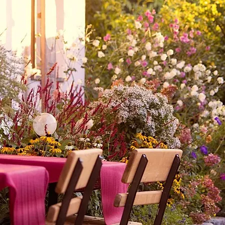 招待所 阿洛伊西亚旅馆 3*