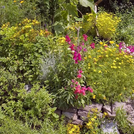 Pensionat Aloisia 3*