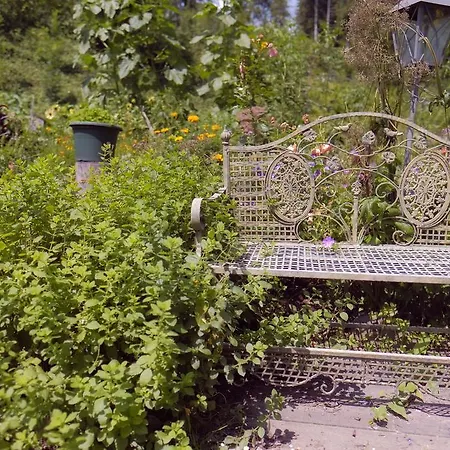 Aloisia Scheffau am Wilden Kaiser