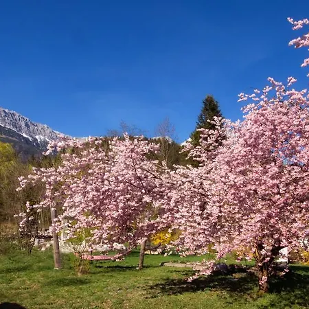 Pensionat Aloisia Scheffau am Wilden Kaiser