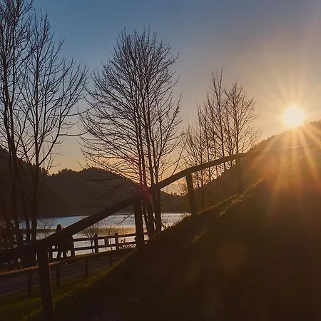 阿洛伊西亚旅馆 招待所 3*