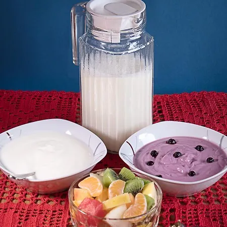 게스트하우스 Aloisia 3*