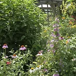 Aloisia Maison d'hôtes 3*