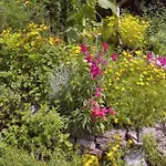 Maison d'hôtes Aloisia 3*