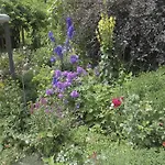 Aloisia Maison d'hôtes