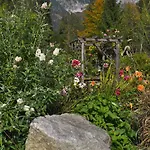 Aloisia Maison d'hôtes Scheffau am Wilden Kaiser