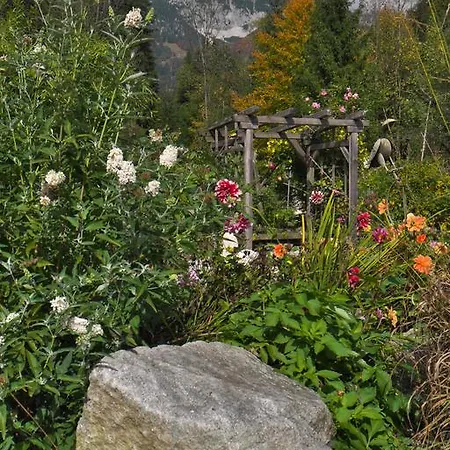 Aloisia Konukevi Scheffau am Wilden Kaiser