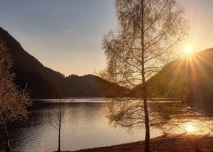 Aloisia Гостевой дом Шеффау-ам-Вильден-Кайзер