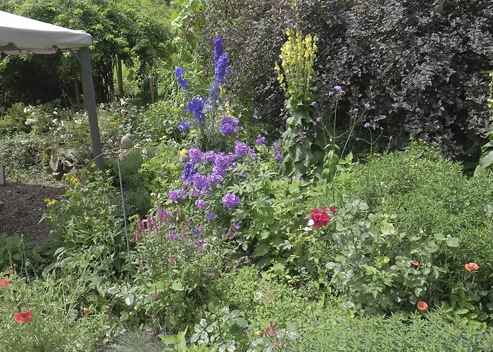 Aloisia Гостевой дом