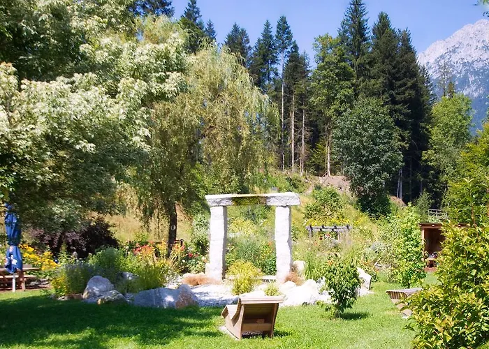 Гостевой дом Aloisia Шеффау-ам-Вильден-Кайзер