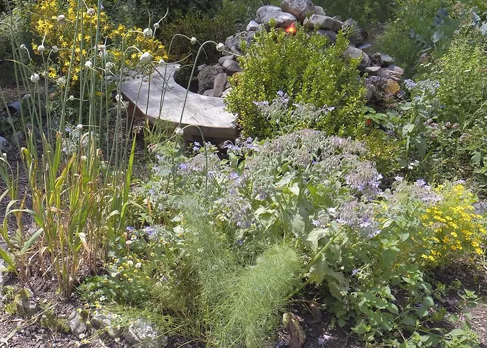 Гостевой дом Aloisia Шеффау-ам-Вильден-Кайзер