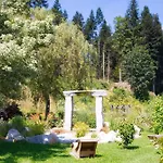 招待所 阿洛伊西亚旅馆 凯撒山麓舍福