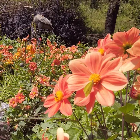 Aloisia Penzion 3*