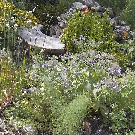 Penzion Aloisia Scheffau am Wilden Kaiser
